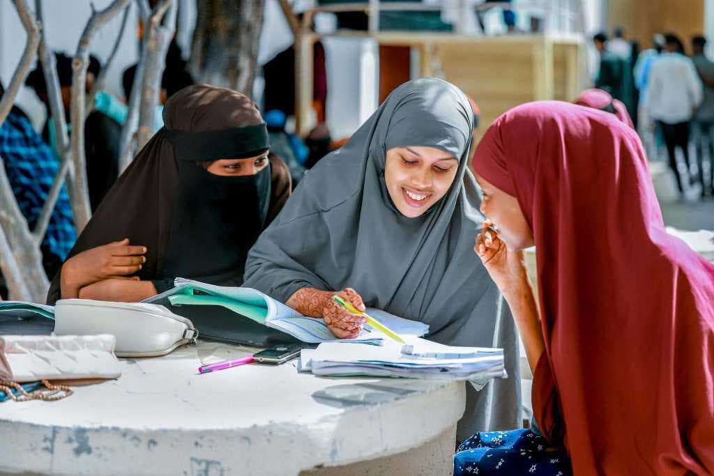 Undergraduate Experience